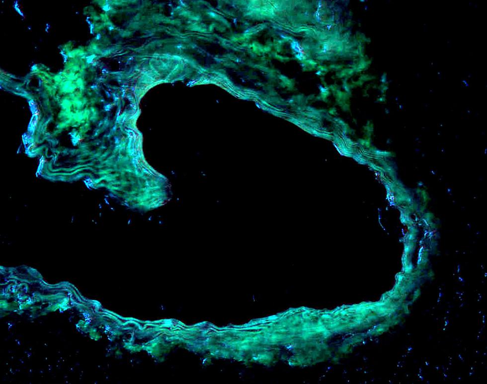 Night Swimming - Sonya James